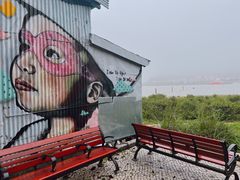 -路环码头面馆