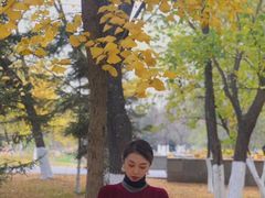 -长白岛森林公园