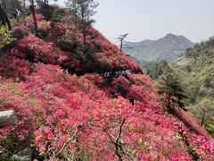 -木兰云雾山