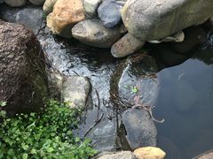 -厦门园林植物园-植物园滴水山房