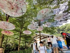 -广州市帽峰山景区