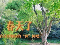 -杭州植物园