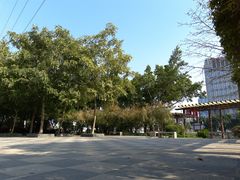 -光明港公园