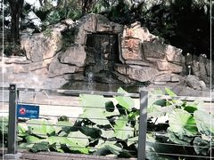 -深圳野生动物园