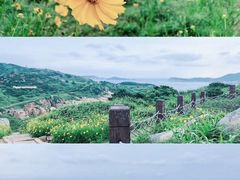 -南麂列岛