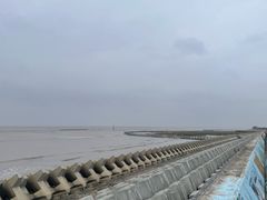 -南汇新城海滩