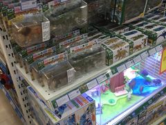 -TOYSRUS玩具反斗城(成都环球中心店)