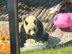 -大连森林动物园