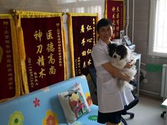 -北京观赏动物医院·24小时大型综合·猫专科·异宠专科