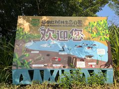 -福田红树林生态公园