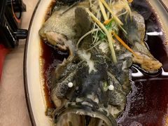 清蒸石斑鱼-琼大师东方烤乳猪(亚特兰蒂斯店)