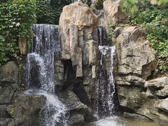-燕塞湖鸟语林景区