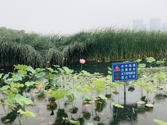 -暨阳湖生态园