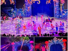-海合安武汉极地海洋公园
