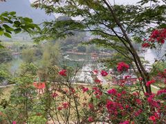 -靖西鹅泉风景区