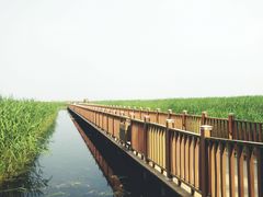 -白洋淀景区