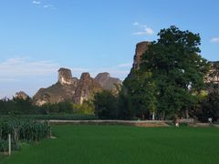 -明仕田园
