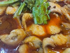 江团-都江堰石锅鱼