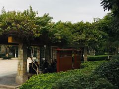 -火炉山森林公园