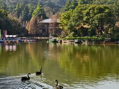 -广州市帽峰山景区
