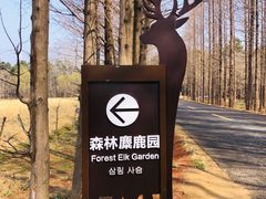 -日照海滨国家森林公园