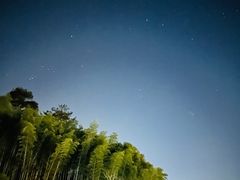 -杨家堂村