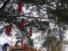 -广州市流溪河国家森林公园