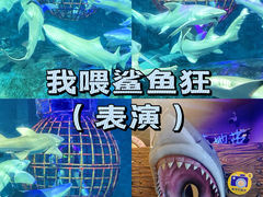 -大连圣亚海洋世界