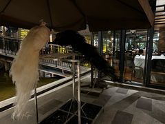 -渝半城经典川粤菜(重庆天地店)