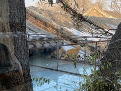 -巴巴新生活·四合院会议·疗愈团建.品牌活动