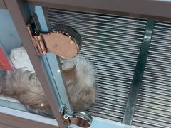 -FAELING PETS美天灵宠物(合生汇店)