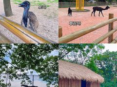 -苏州太湖西山岛开心农场