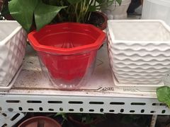 -北路拉面馆(洪湖里店)
