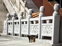 -宝通禅寺