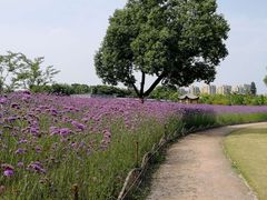 -杭州城北体育公园