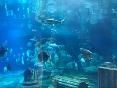-梦幻海洋王国(吾悦广场张家港店)