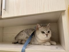 -美联众合24小时·皮肤科·外科·全科诊疗中心(华苑分院)
