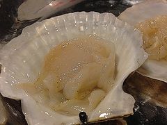 扇贝-盈田盈粥庄(博山东路店)