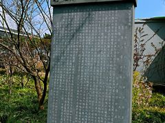 -亭林公园