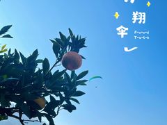 -海宁大尖山滑翔伞运动基地
