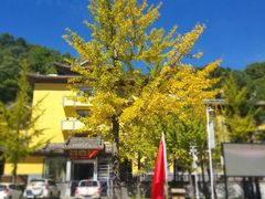 -洛阳白云山景区