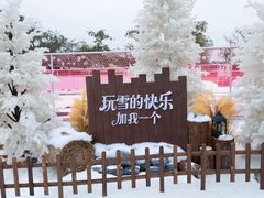 -盈香心动乐园