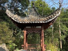 -深圳国际园林花卉博览园