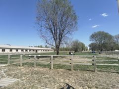 -北京群众马术培训基地