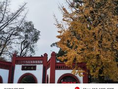 -都江堰景区