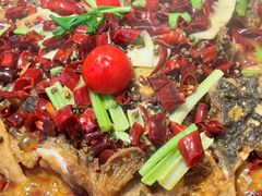 -老板恋上鱼(恒隆广场店)