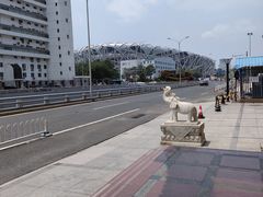 -北京国玉大酒店(鸟巢科技馆店)