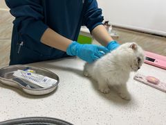 -阿荣24H宠物医院·综合型转诊中心·CT·核磁影像中心