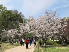 -采石矶景区