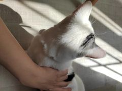 -三仟津花园咖啡馆